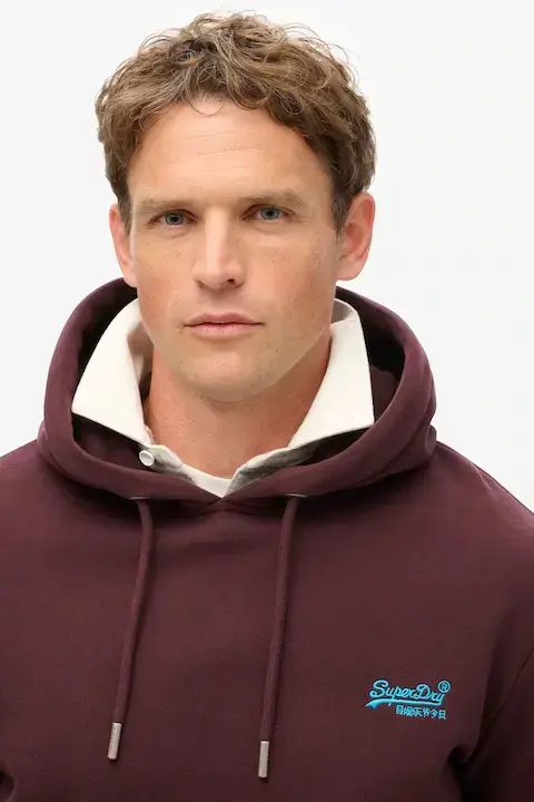 \picture of the product Superdry Burgundy Rich Deep Essential Logo Hoodie