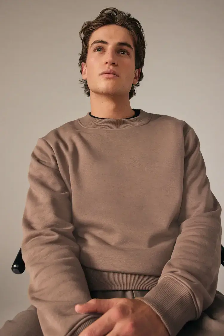 Sweatshirt grey brown At Priimo